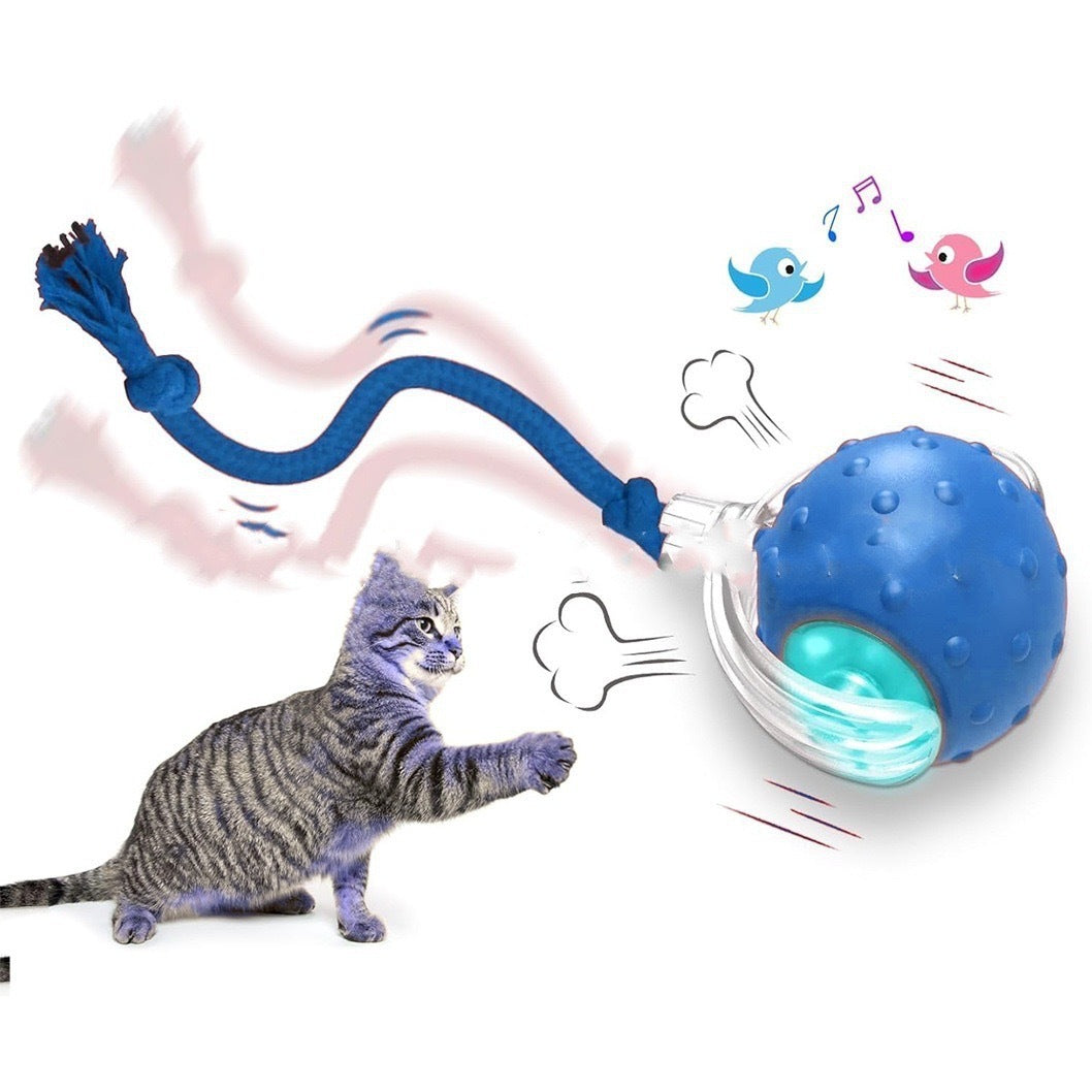 Smart Interactive Toy Ball - Interactive Teaser for Bored Cats