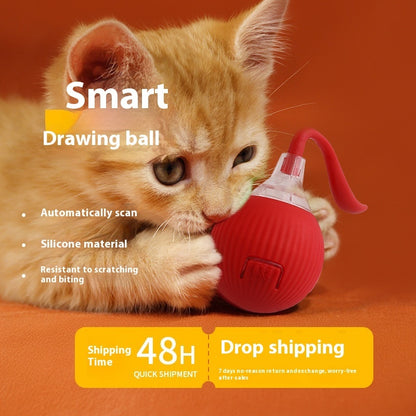 Smart Interactive Toy Ball - Interactive Teaser for Bored Cats